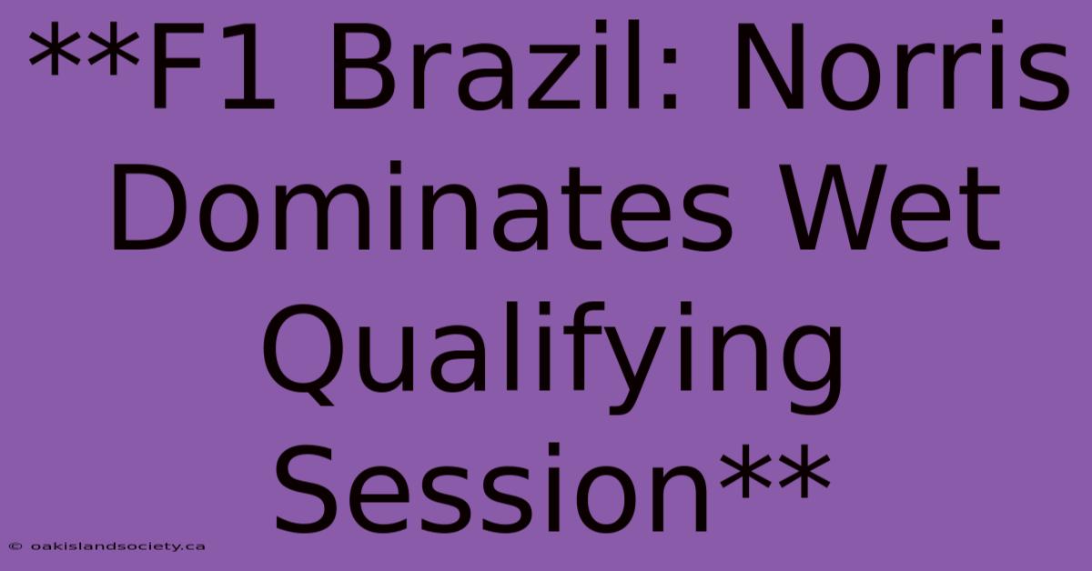 **F1 Brazil: Norris Dominates Wet Qualifying Session** 