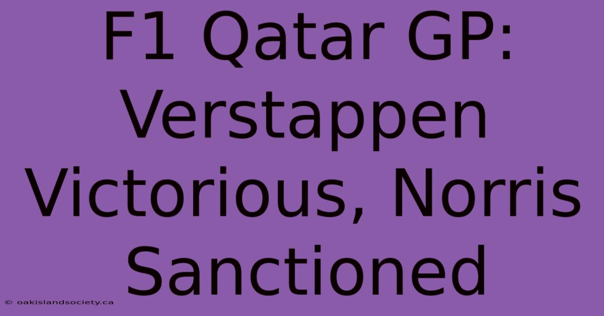 F1 Qatar GP: Verstappen Victorious, Norris Sanctioned