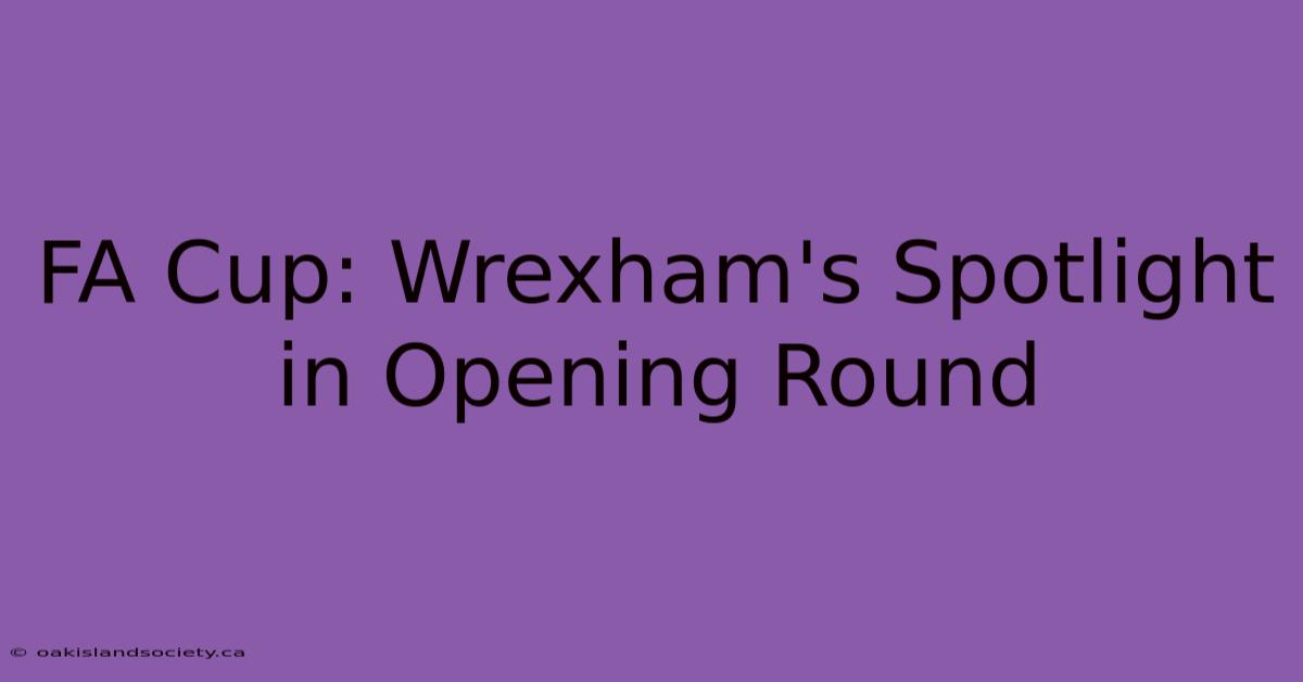 FA Cup: Wrexham's Spotlight In Opening Round