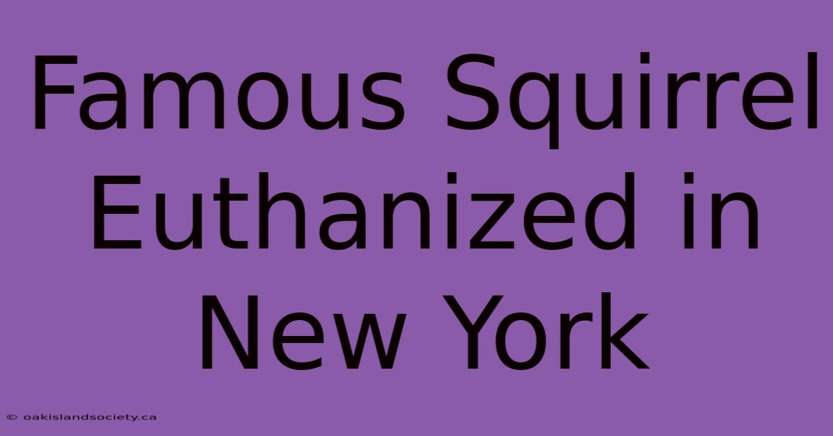 Famous Squirrel Euthanized In New York