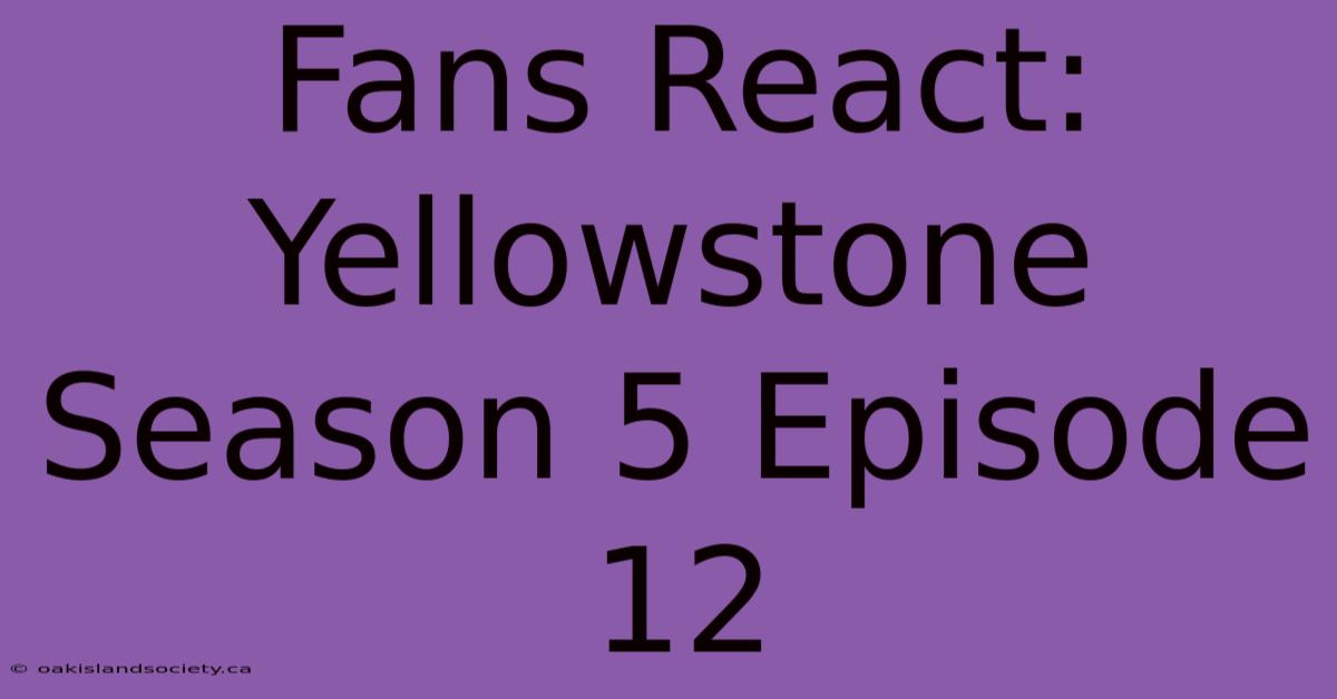 Fans React: Yellowstone Season 5 Episode 12