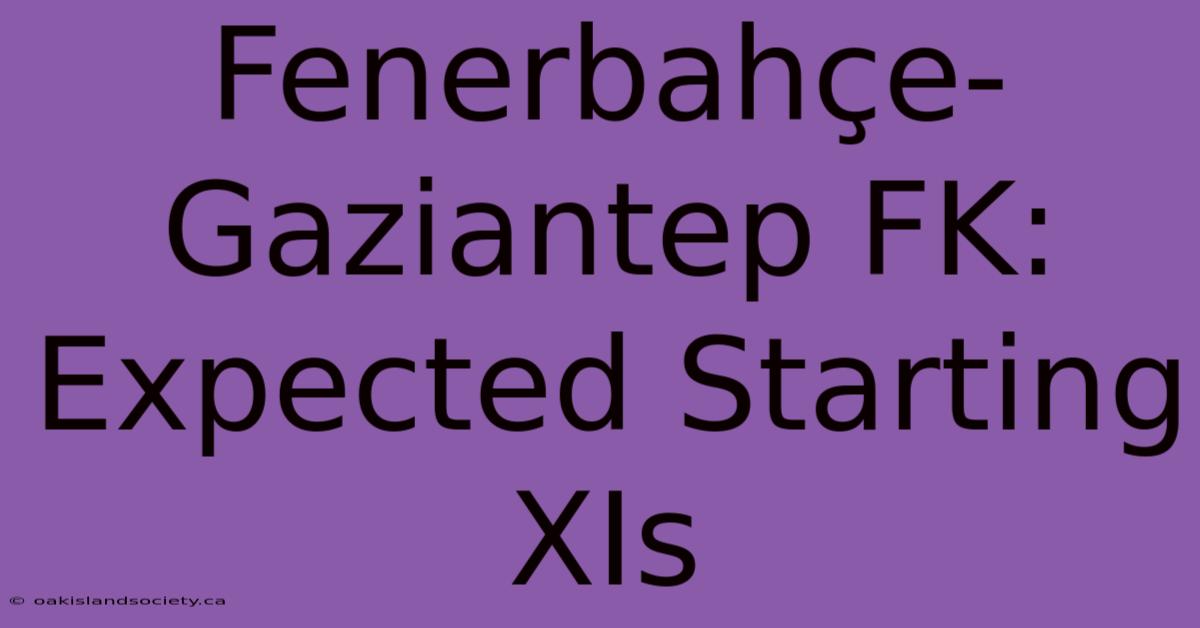 Fenerbahçe-Gaziantep FK: Expected Starting XIs