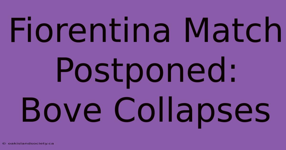 Fiorentina Match Postponed: Bove Collapses