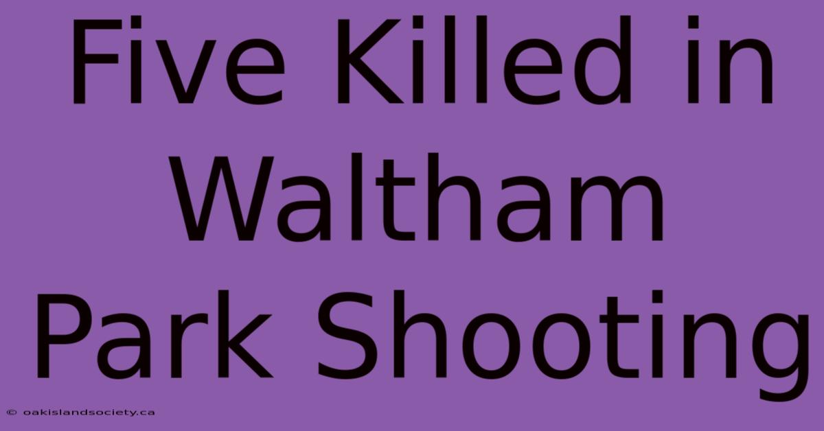 Five Killed In Waltham Park Shooting