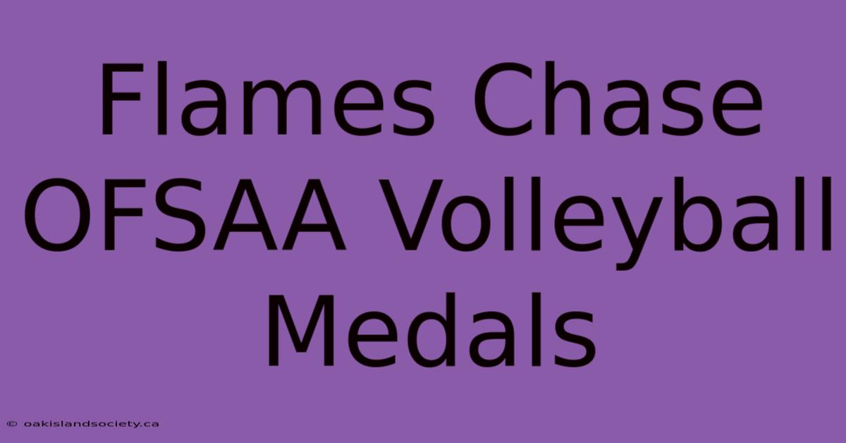 Flames Chase OFSAA Volleyball Medals