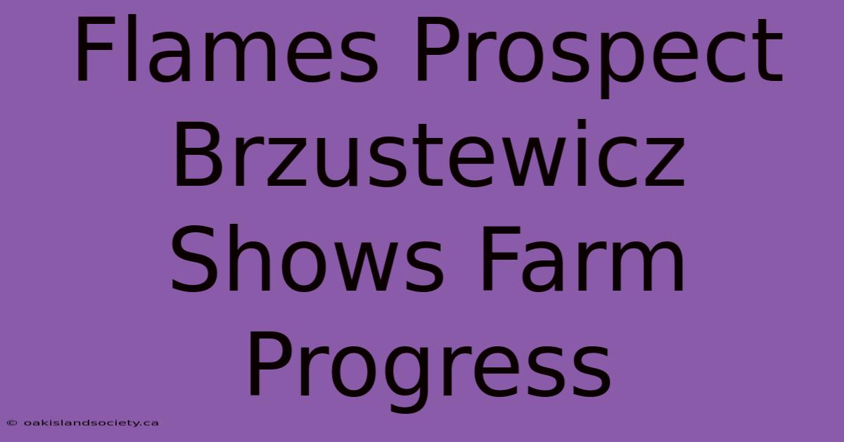 Flames Prospect Brzustewicz Shows Farm Progress