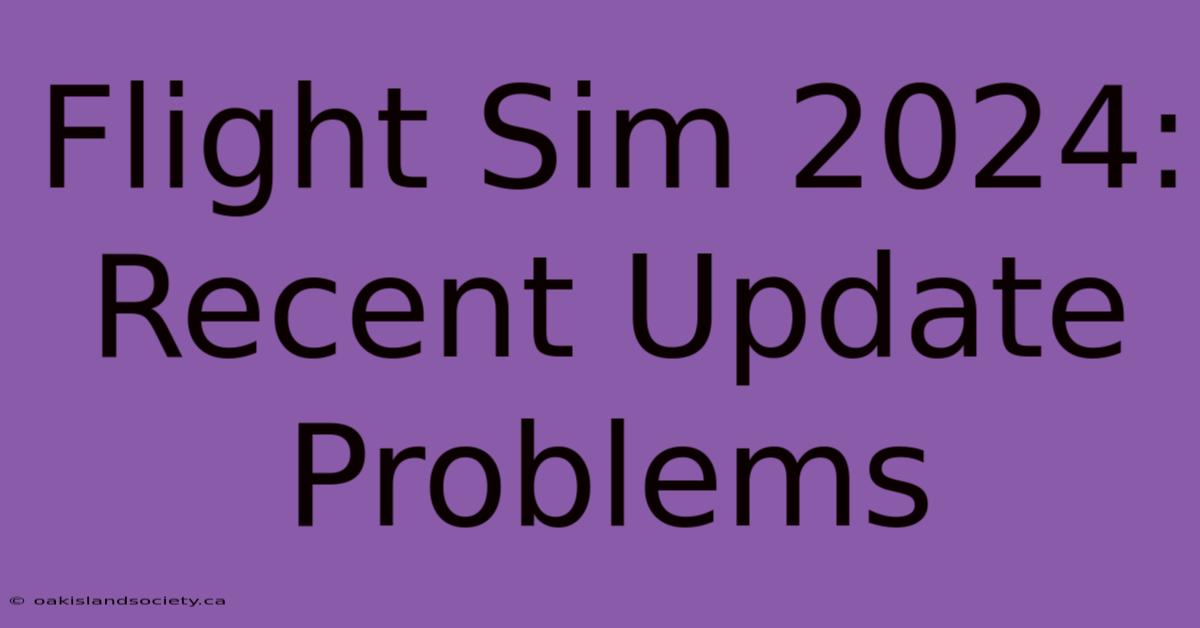 Flight Sim 2024: Recent Update Problems