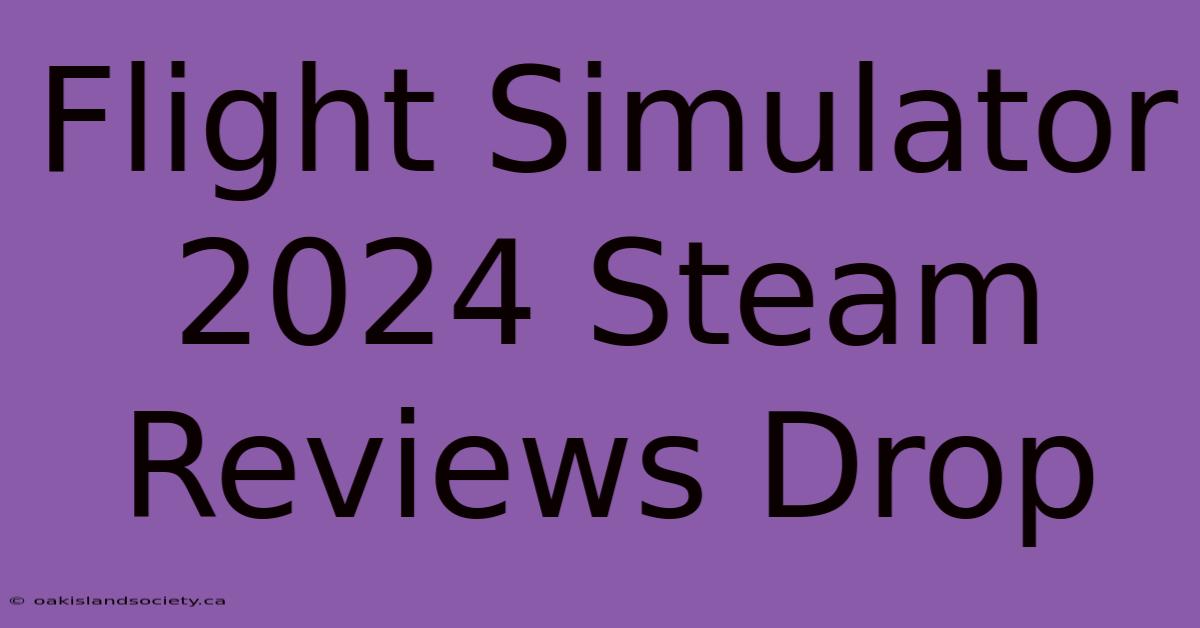 Flight Simulator 2024 Steam Reviews Drop