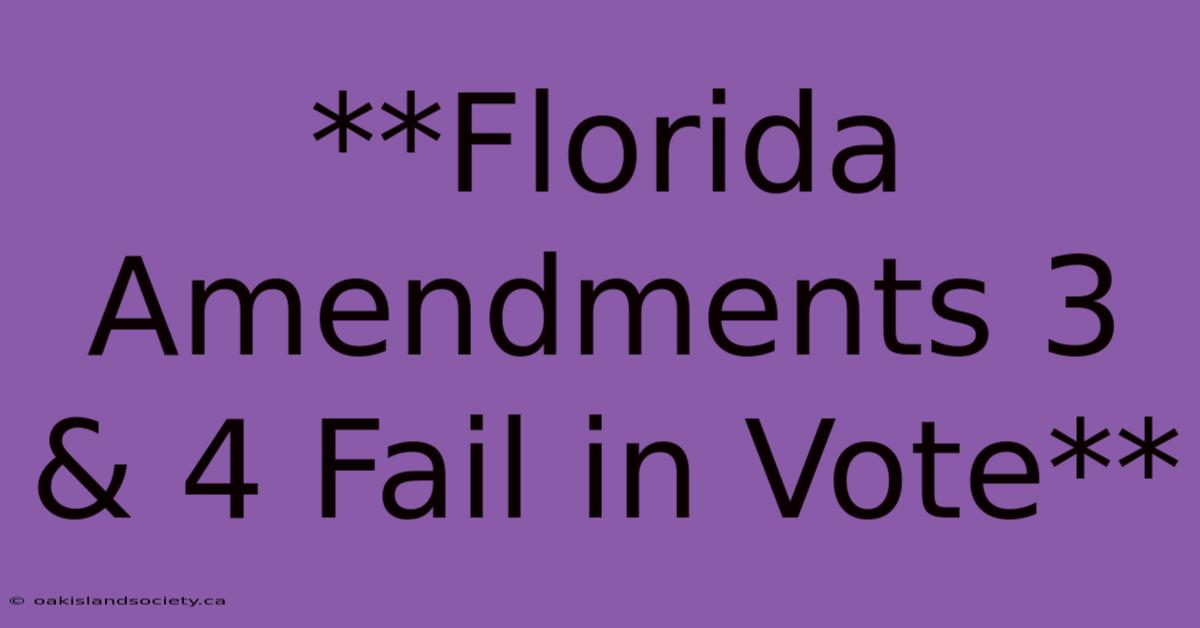 **Florida Amendments 3 & 4 Fail In Vote**