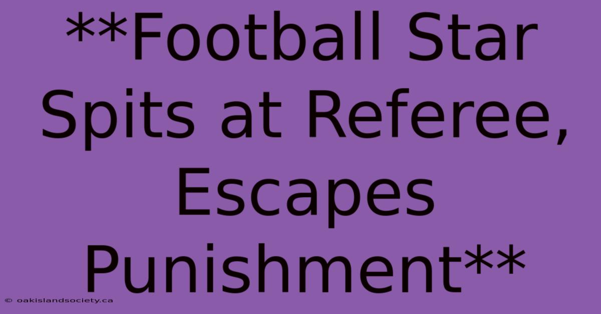 **Football Star Spits At Referee, Escapes Punishment**