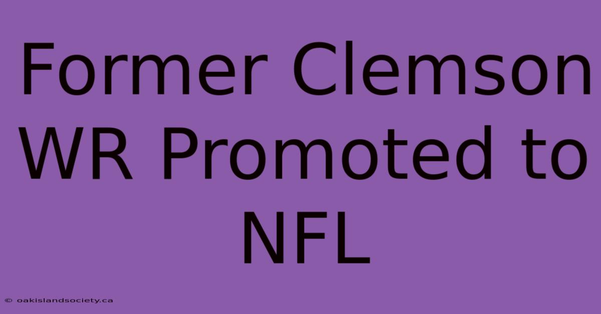 Former Clemson WR Promoted To NFL