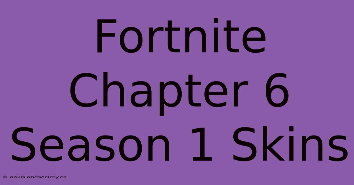 Fortnite Chapter 6 Season 1 Skins