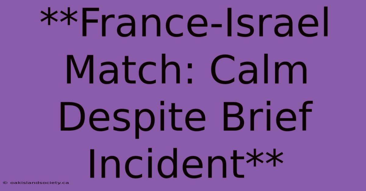 **France-Israel Match: Calm Despite Brief Incident** 