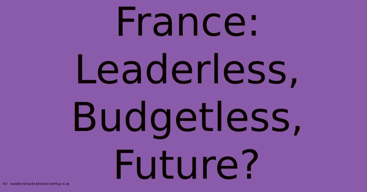 France: Leaderless, Budgetless, Future?