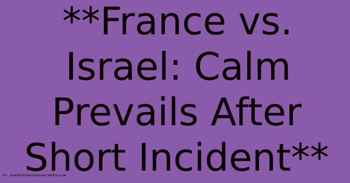 **France Vs. Israel: Calm Prevails After Short Incident** 