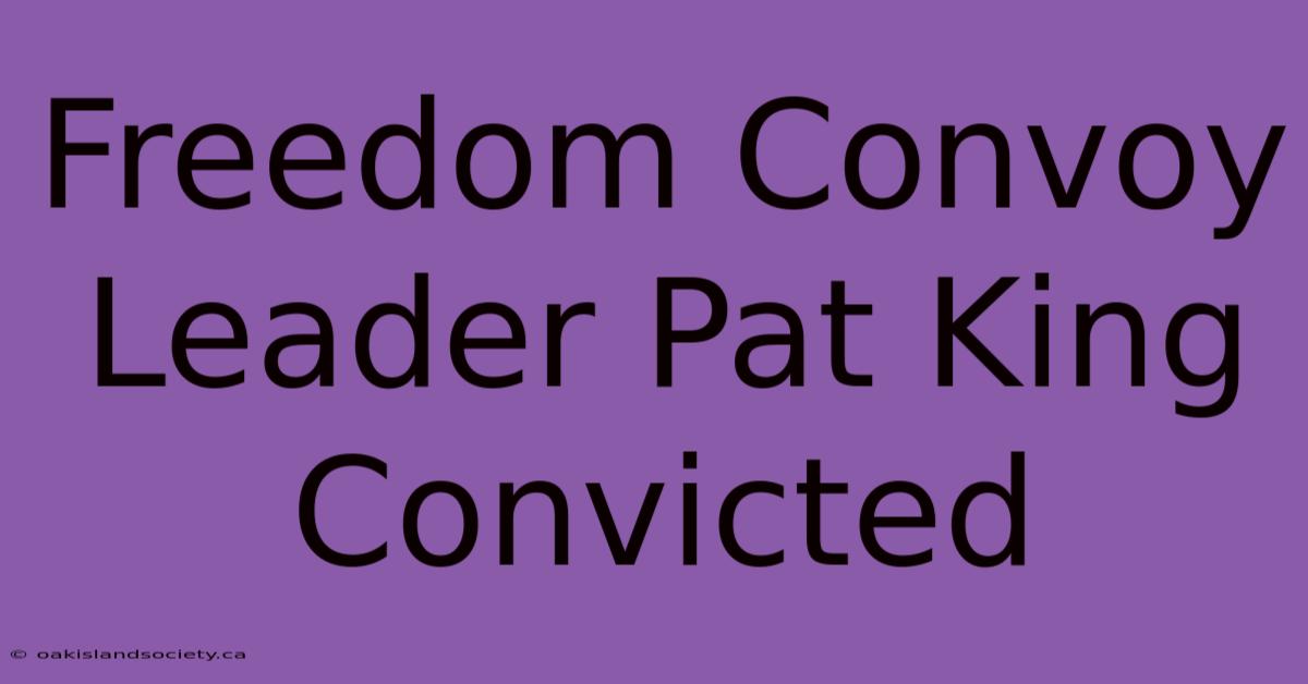 Freedom Convoy Leader Pat King Convicted