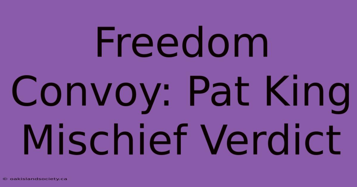 Freedom Convoy: Pat King Mischief Verdict