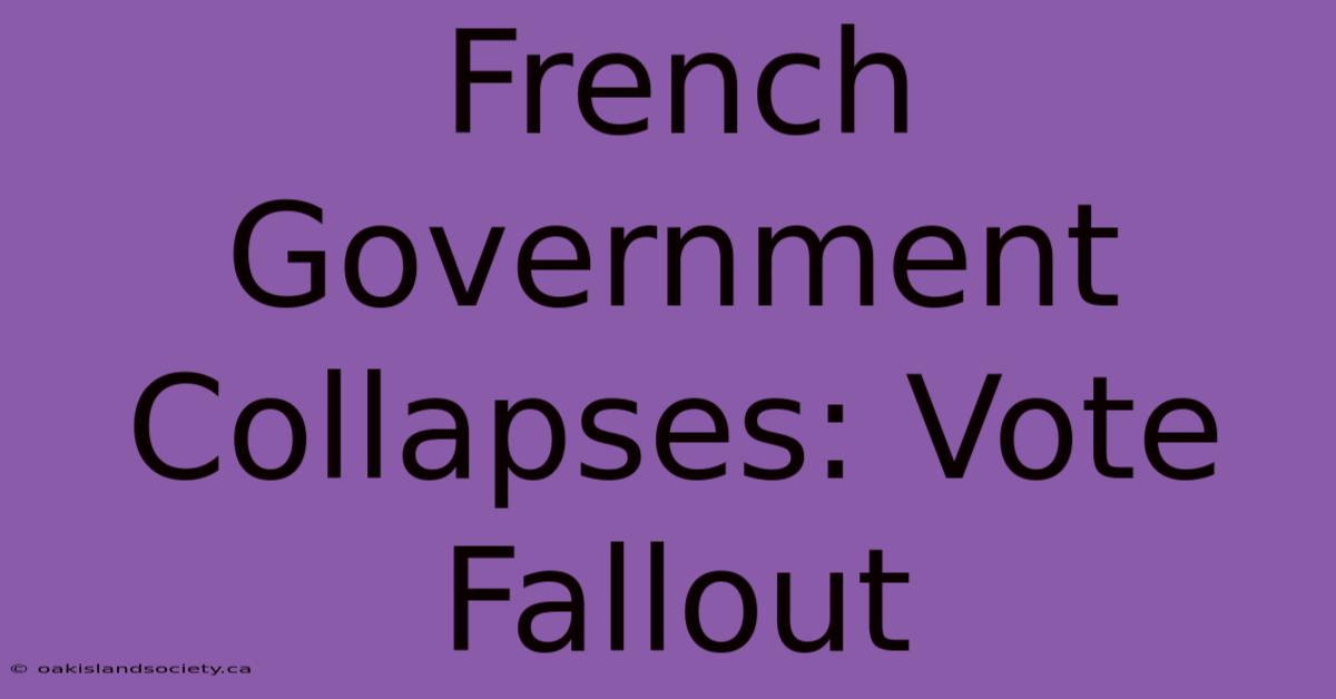 French Government Collapses: Vote Fallout