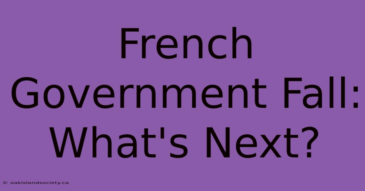 French Government Fall: What's Next?