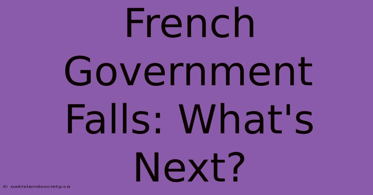 French Government Falls: What's Next?