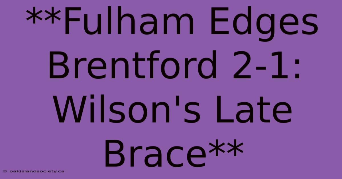 **Fulham Edges Brentford 2-1: Wilson's Late Brace**