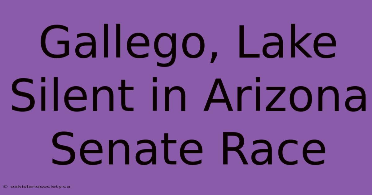 Gallego, Lake Silent In Arizona Senate Race