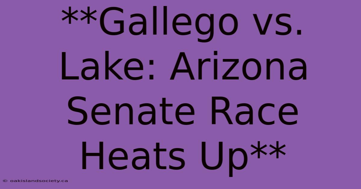 **Gallego Vs. Lake: Arizona Senate Race Heats Up**