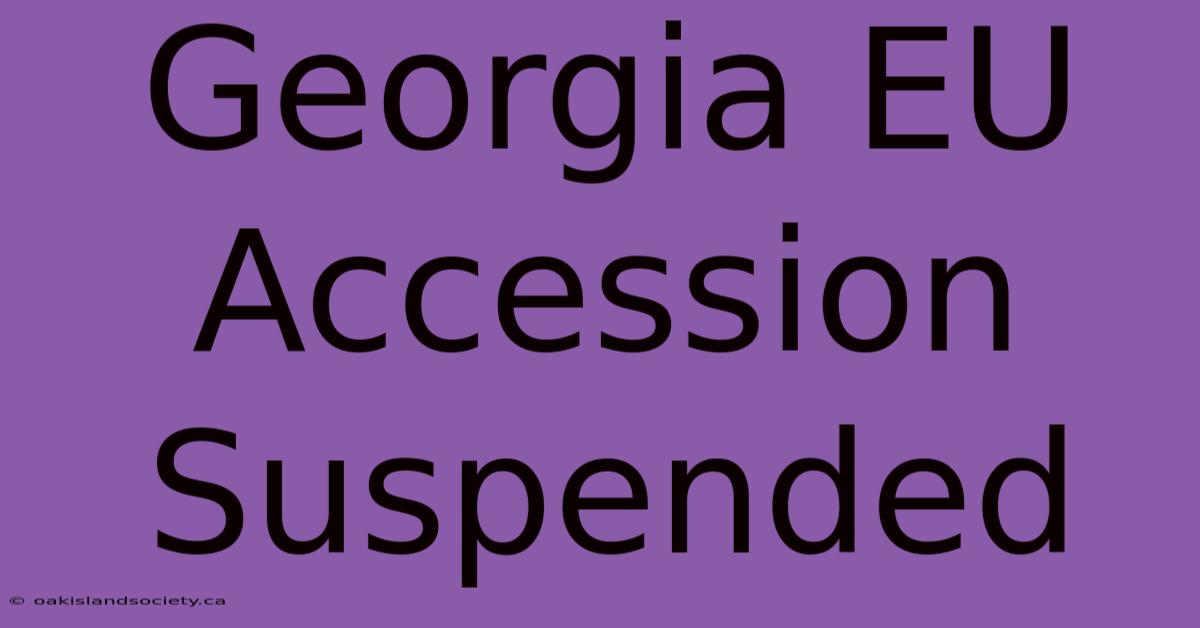 Georgia EU Accession Suspended