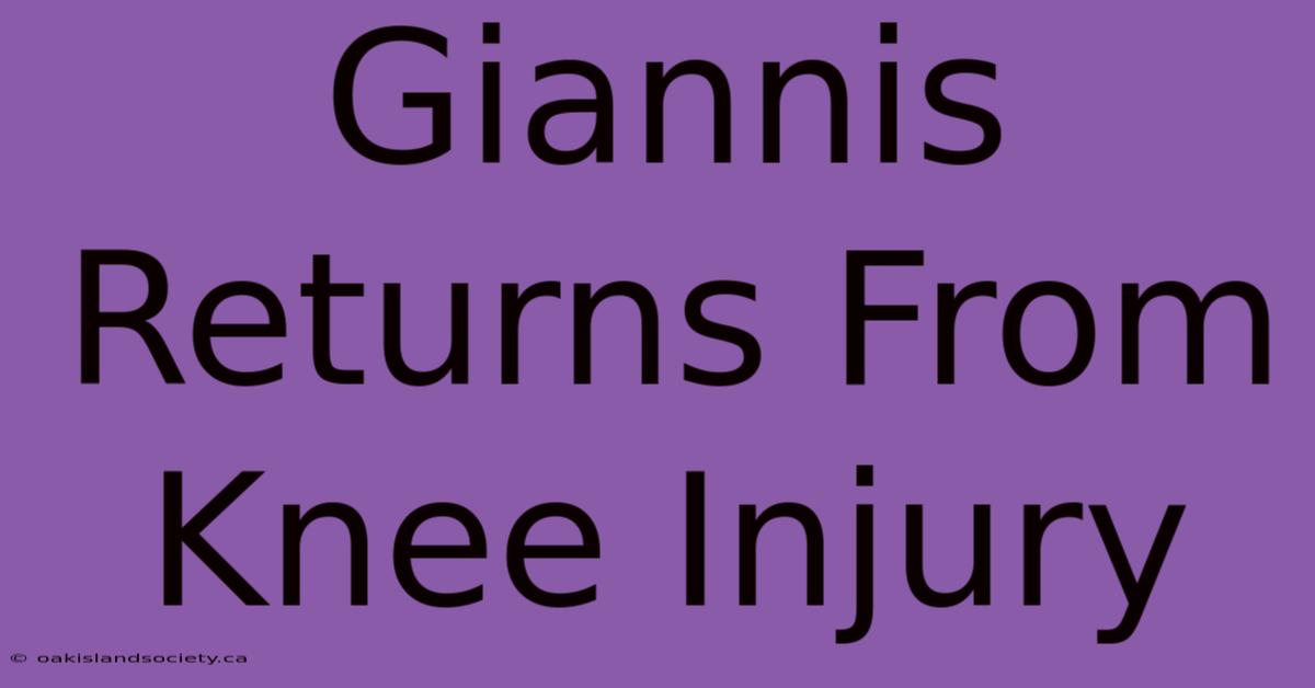 Giannis Returns From Knee Injury