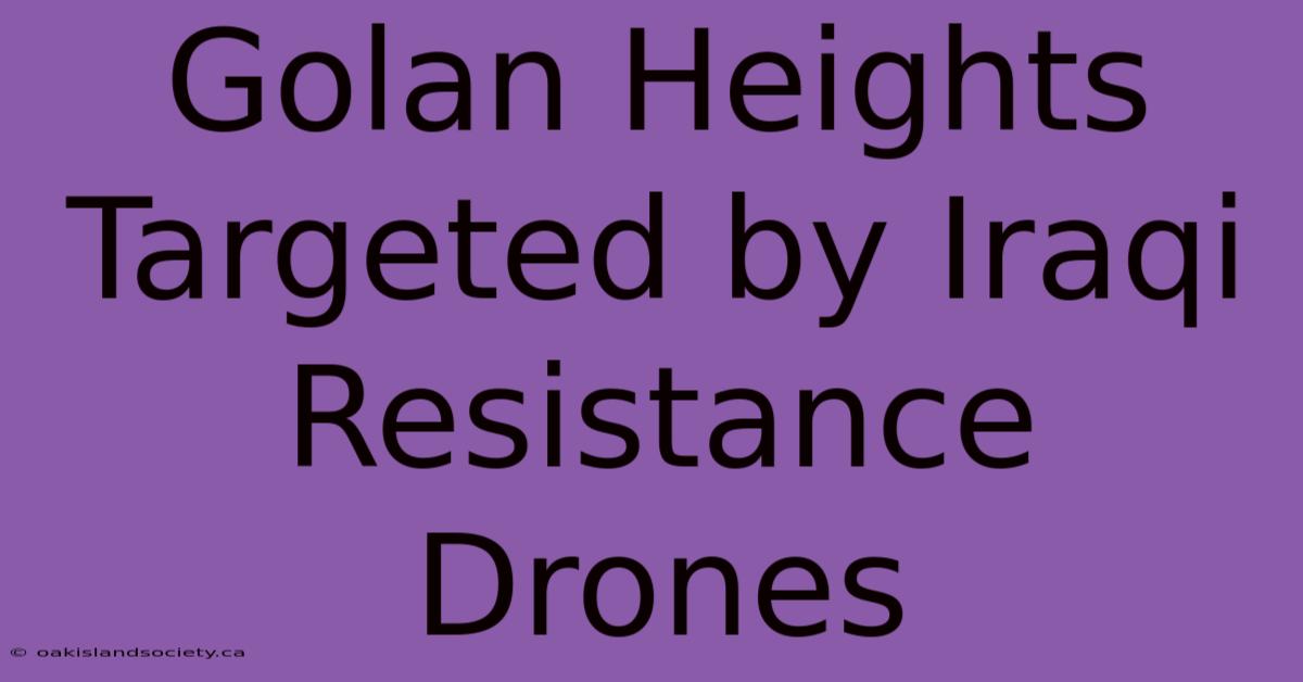 Golan Heights Targeted By Iraqi Resistance Drones 