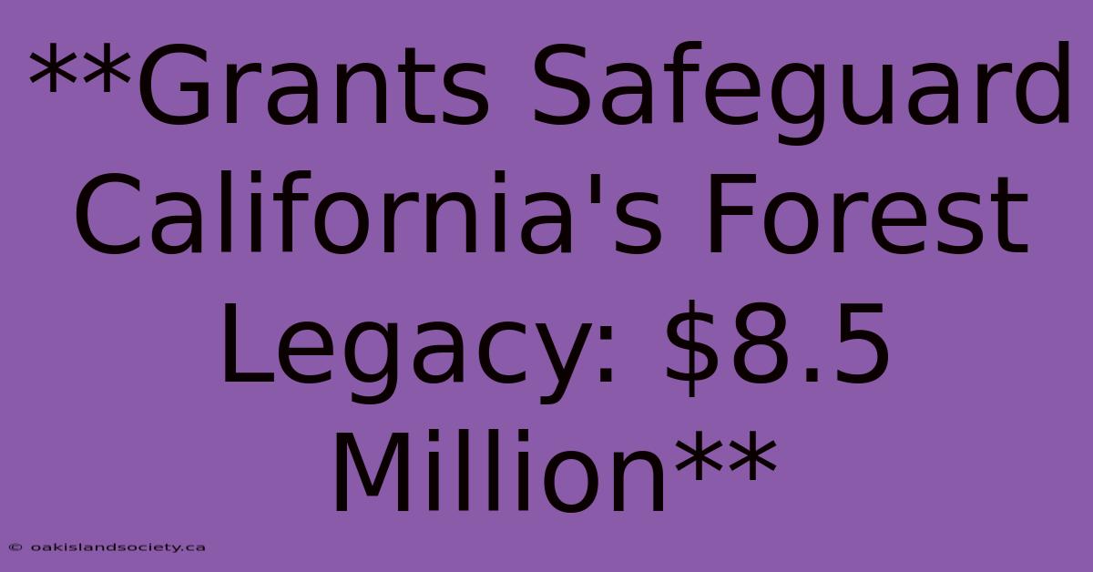 **Grants Safeguard California's Forest Legacy: $8.5 Million** 