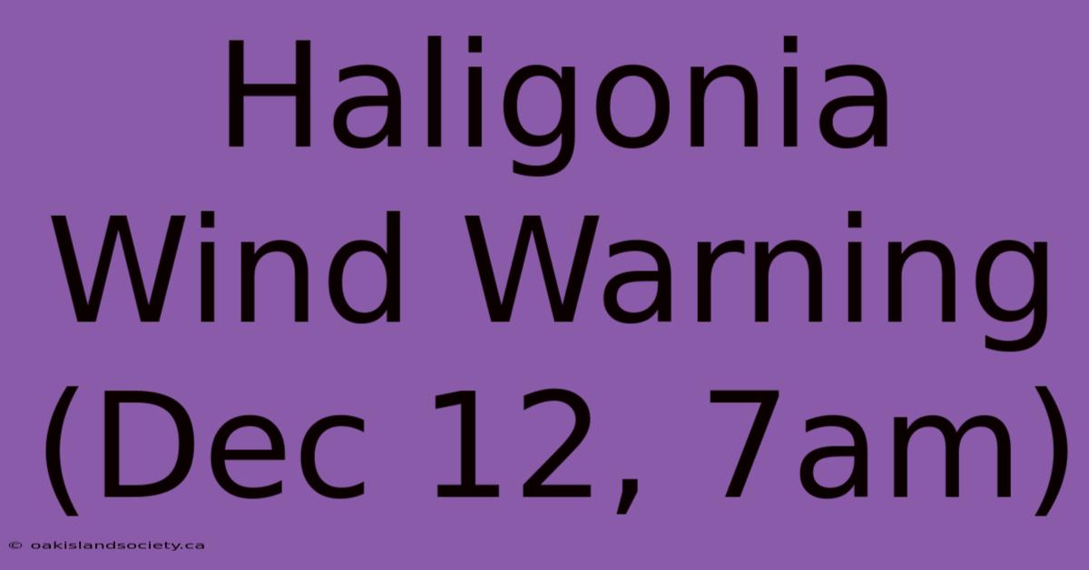 Haligonia Wind Warning (Dec 12, 7am)