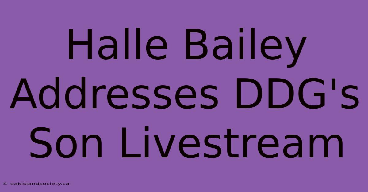 Halle Bailey Addresses DDG's Son Livestream 