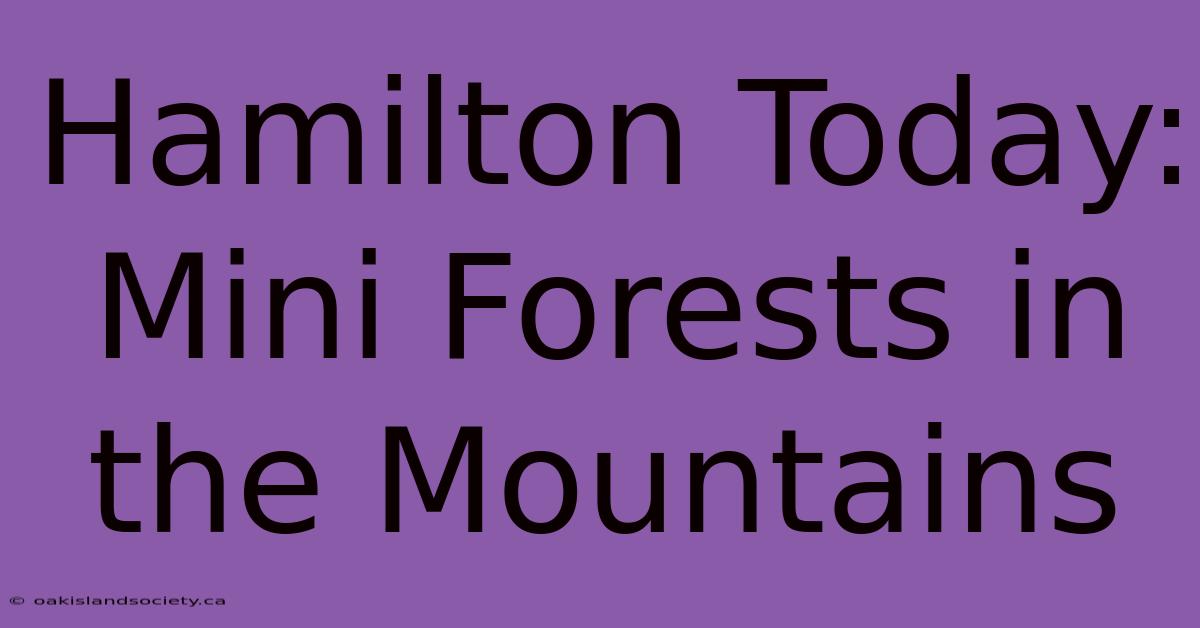 Hamilton Today: Mini Forests In The Mountains