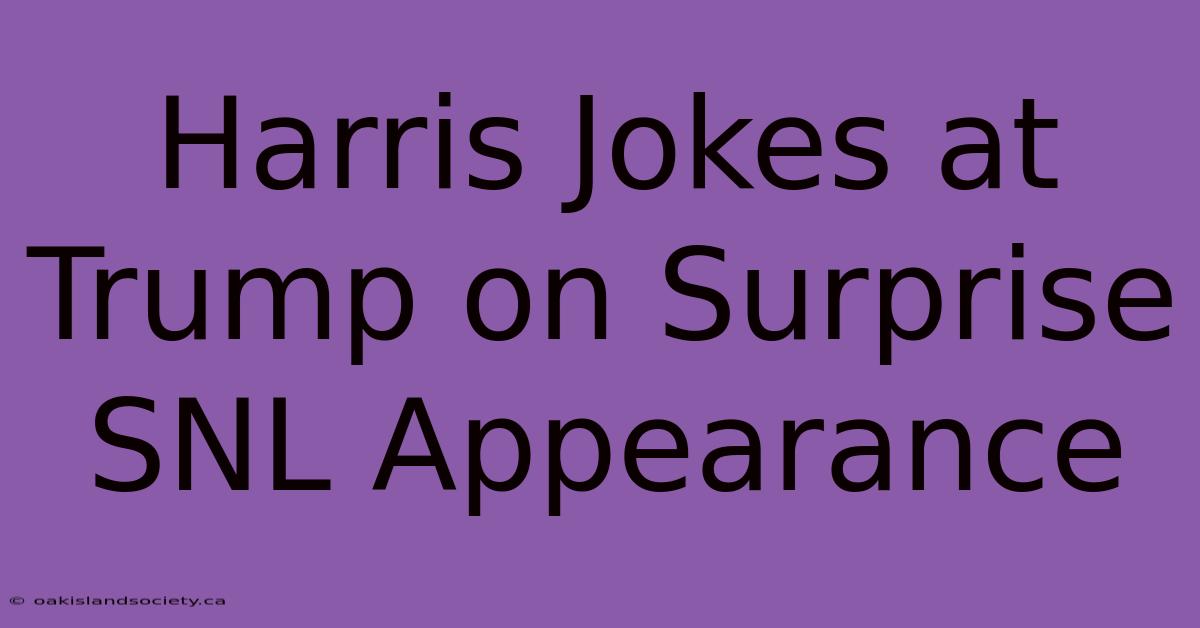 Harris Jokes At Trump On Surprise SNL Appearance