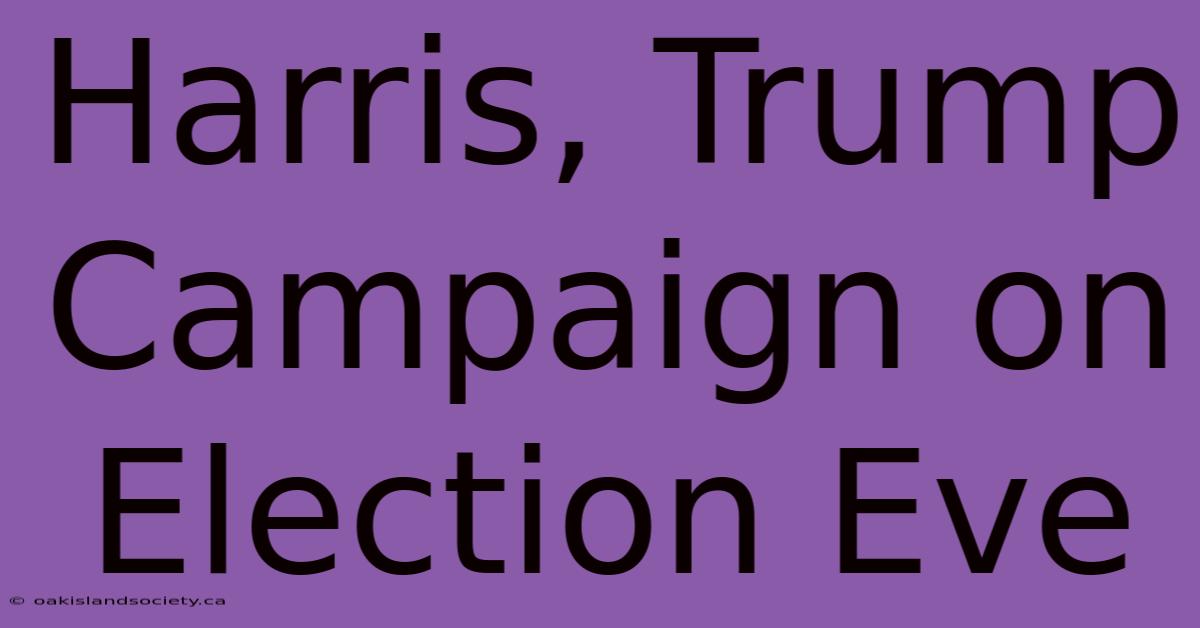 Harris, Trump Campaign On Election Eve 