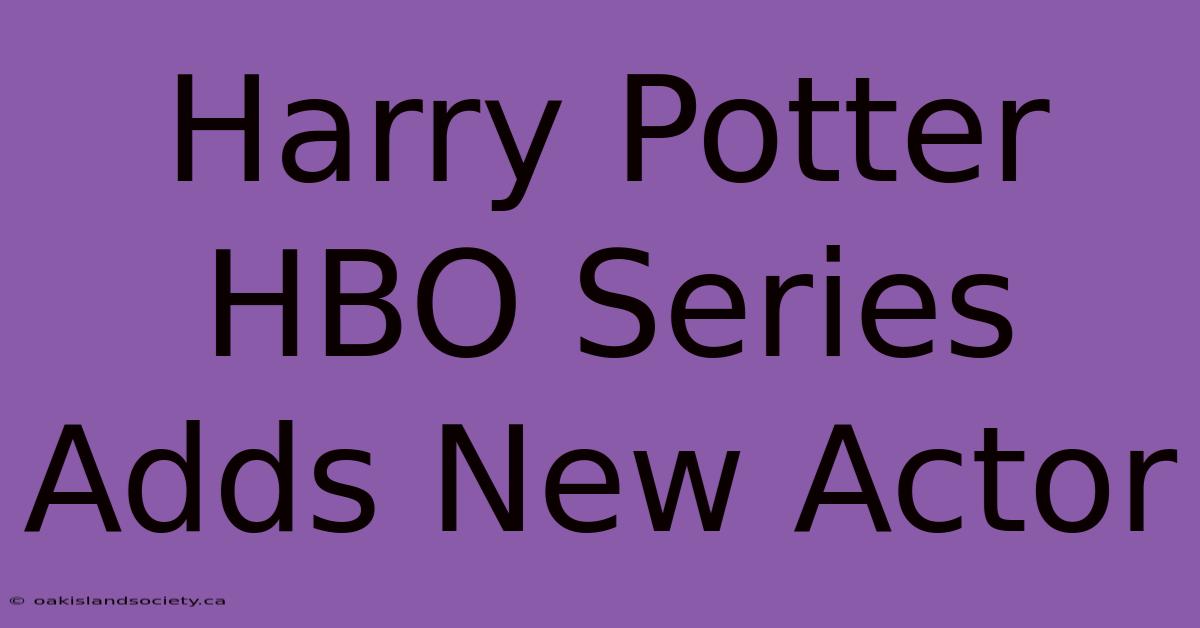 Harry Potter HBO Series Adds New Actor