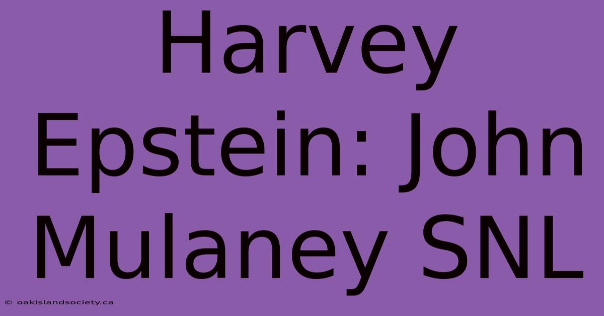 Harvey Epstein: John Mulaney SNL 