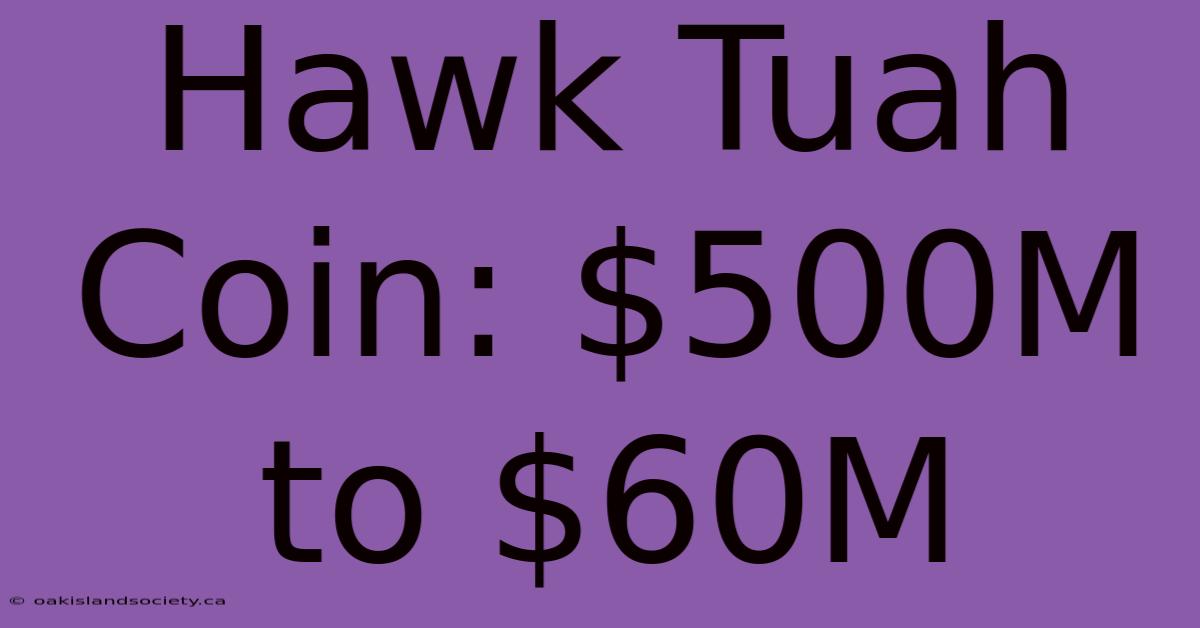 Hawk Tuah Coin: $500M To $60M