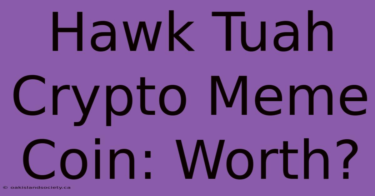 Hawk Tuah Crypto Meme Coin: Worth?