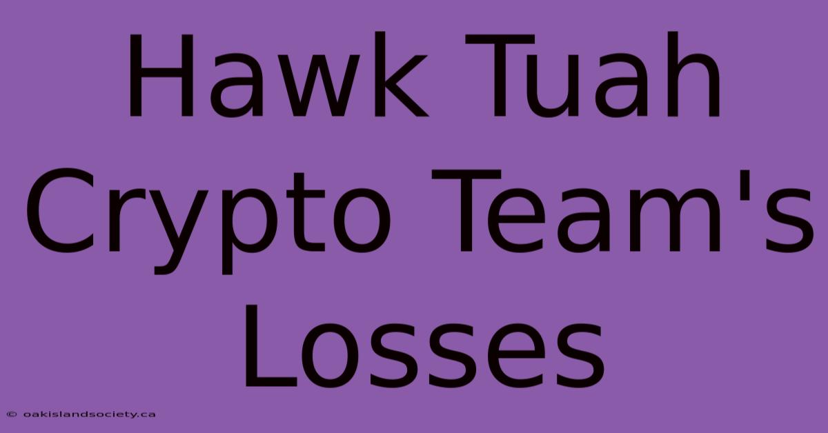 Hawk Tuah Crypto Team's Losses