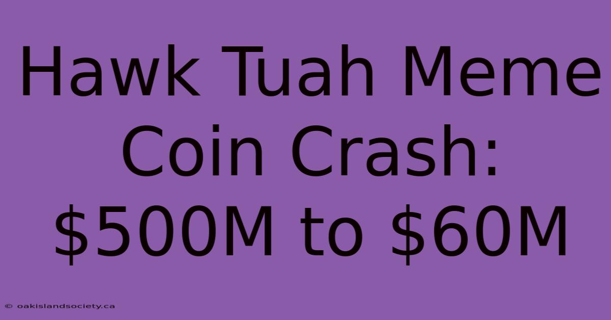 Hawk Tuah Meme Coin Crash: $500M To $60M