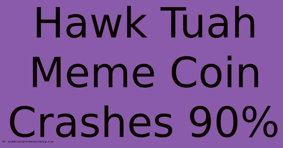 Hawk Tuah Meme Coin Crashes 90%