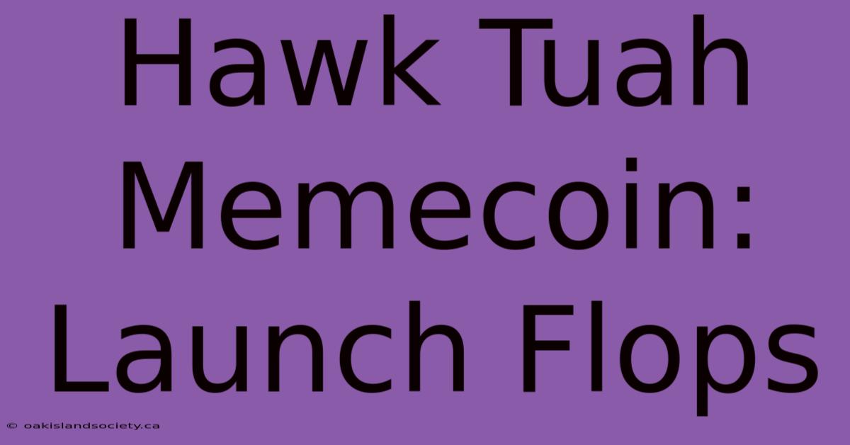 Hawk Tuah Memecoin: Launch Flops