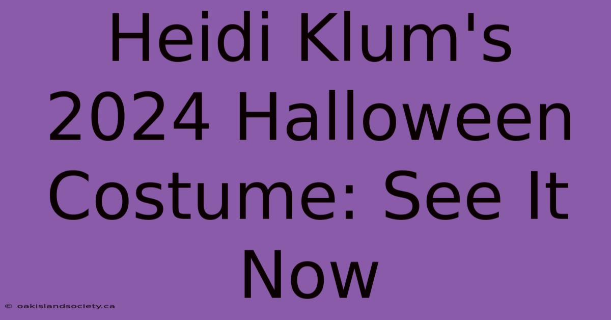 Heidi Klum's 2024 Halloween Costume: See It Now