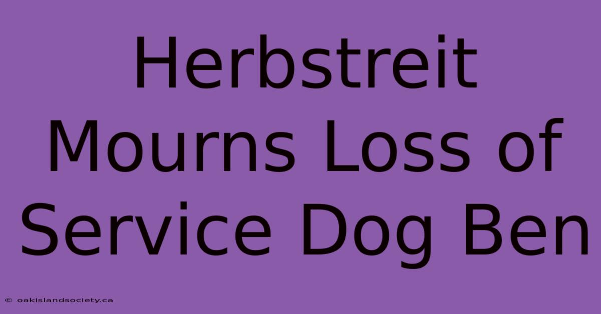 Herbstreit Mourns Loss Of Service Dog Ben