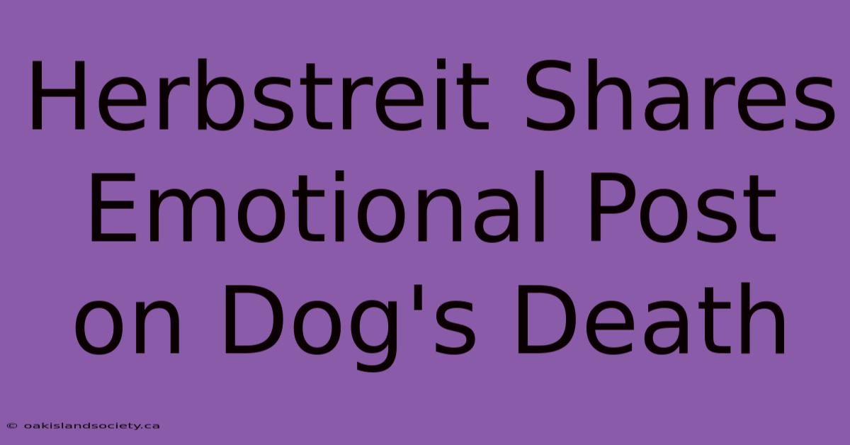 Herbstreit Shares Emotional Post On Dog's Death