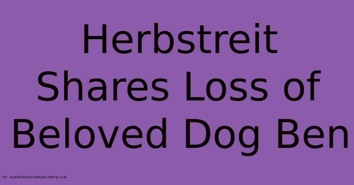 Herbstreit Shares Loss Of Beloved Dog Ben