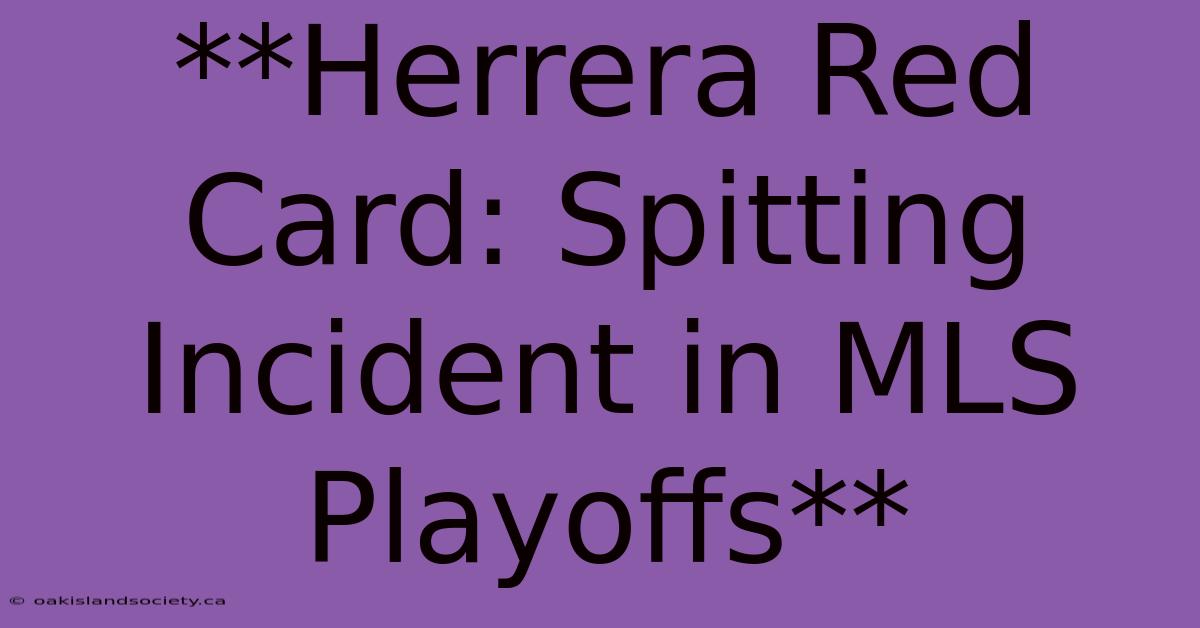 **Herrera Red Card: Spitting Incident In MLS Playoffs** 