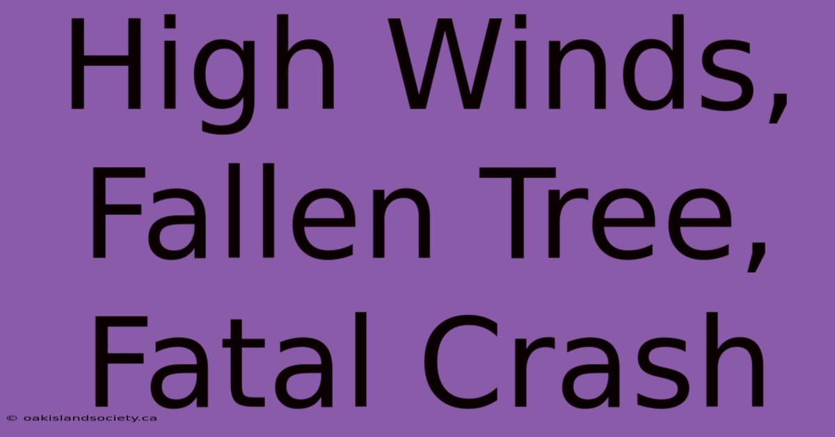 High Winds, Fallen Tree, Fatal Crash